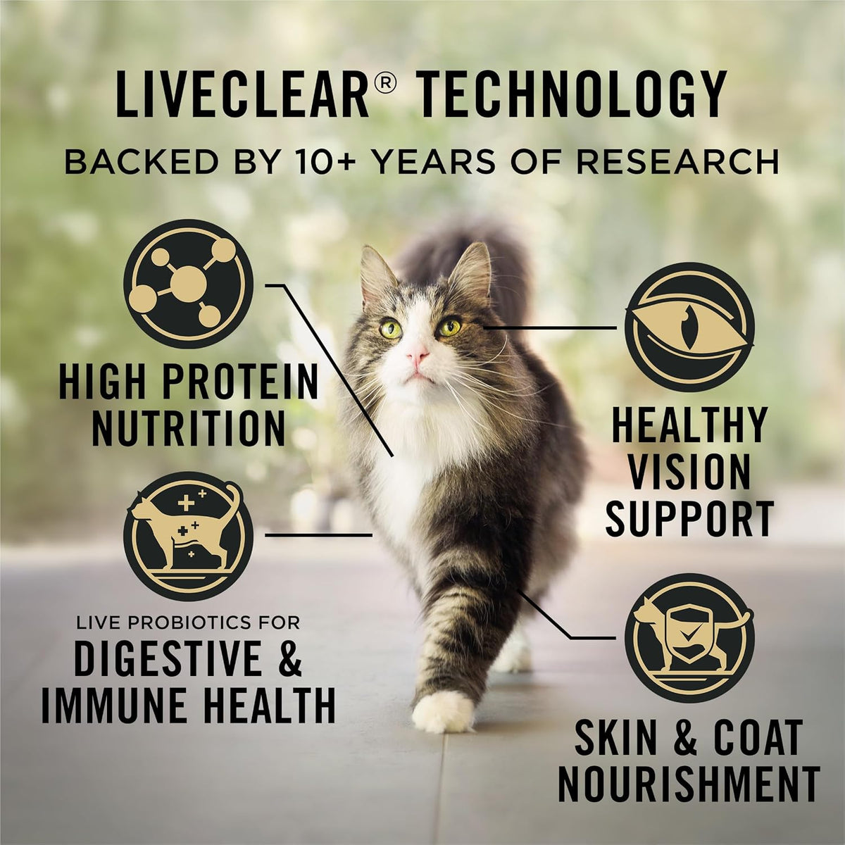 Purina Pro Plan LiveClear Allergen Reducing Dry Cat Food, Salmon, 16 lb