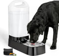 Automatic Dog Water Bowl Dispenser with Filter - 2.4 Gal Large Gravity Auto Pet Water Feeder Waterer with Stainless Steel Bowl & Easy Carry Handle for Large Dog Cat Multi Pet Use