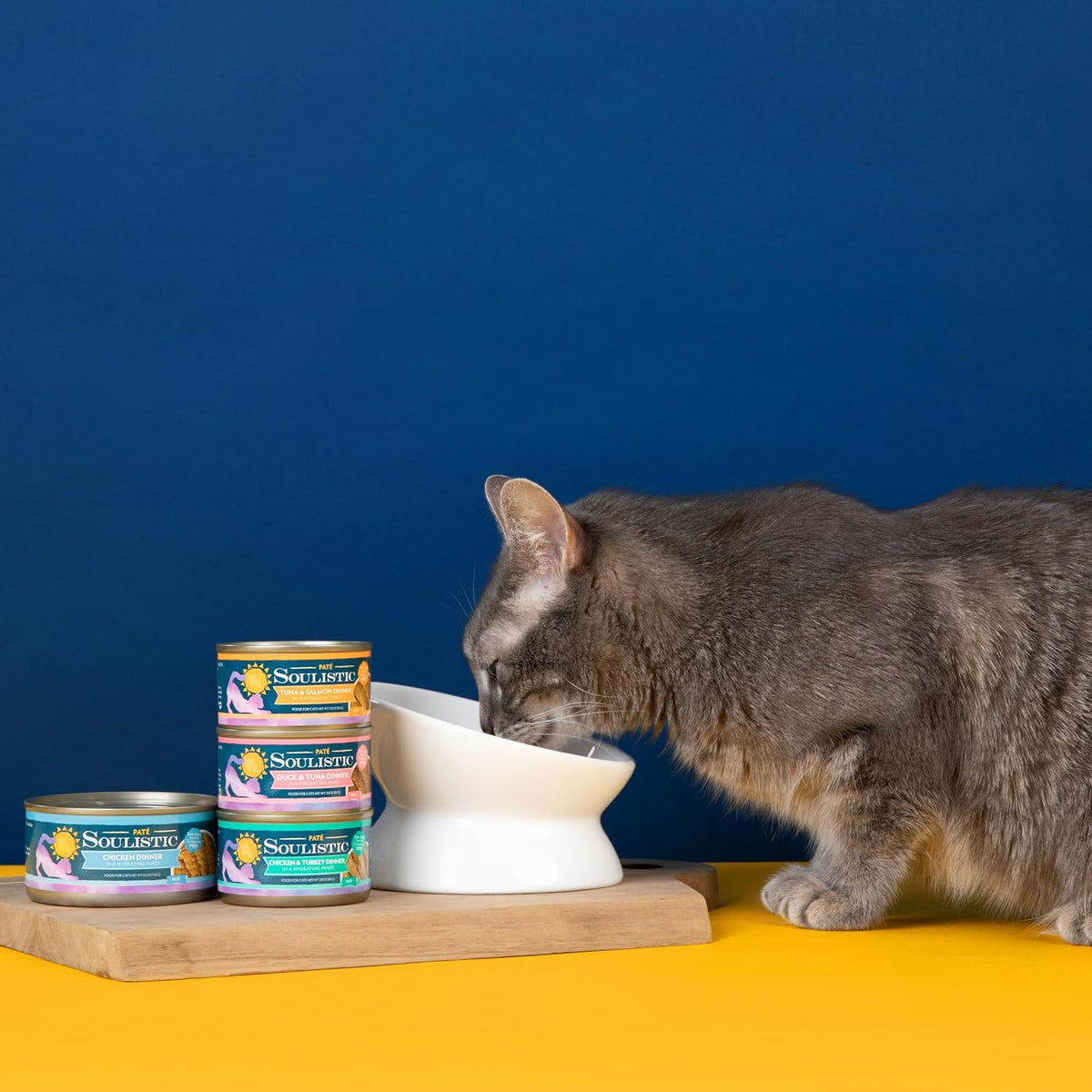 Soulistic Paté Wet Cat Food, Chicken and Turkey Dinner in a Hydrating Purée, 5.5oz Can, Pack of 8