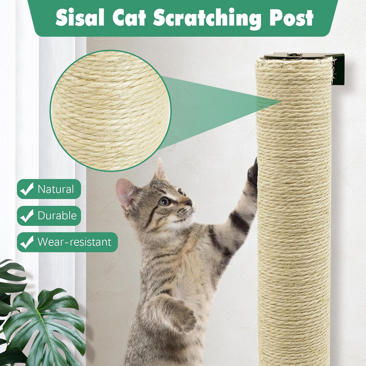 Wall Mount Cat Scratcher 16 Inches Scratching Posts for Cats 2 Pack