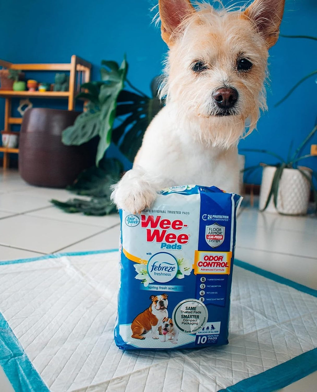 Four Paws Wee-Wee Odor Control Dog Pee Pads with Febreze Freshness | 10 count, spring fresh scent, neutralizes ammonia odors, pee pads for dogs & puppies, dog housebreaking, 22" x 23"