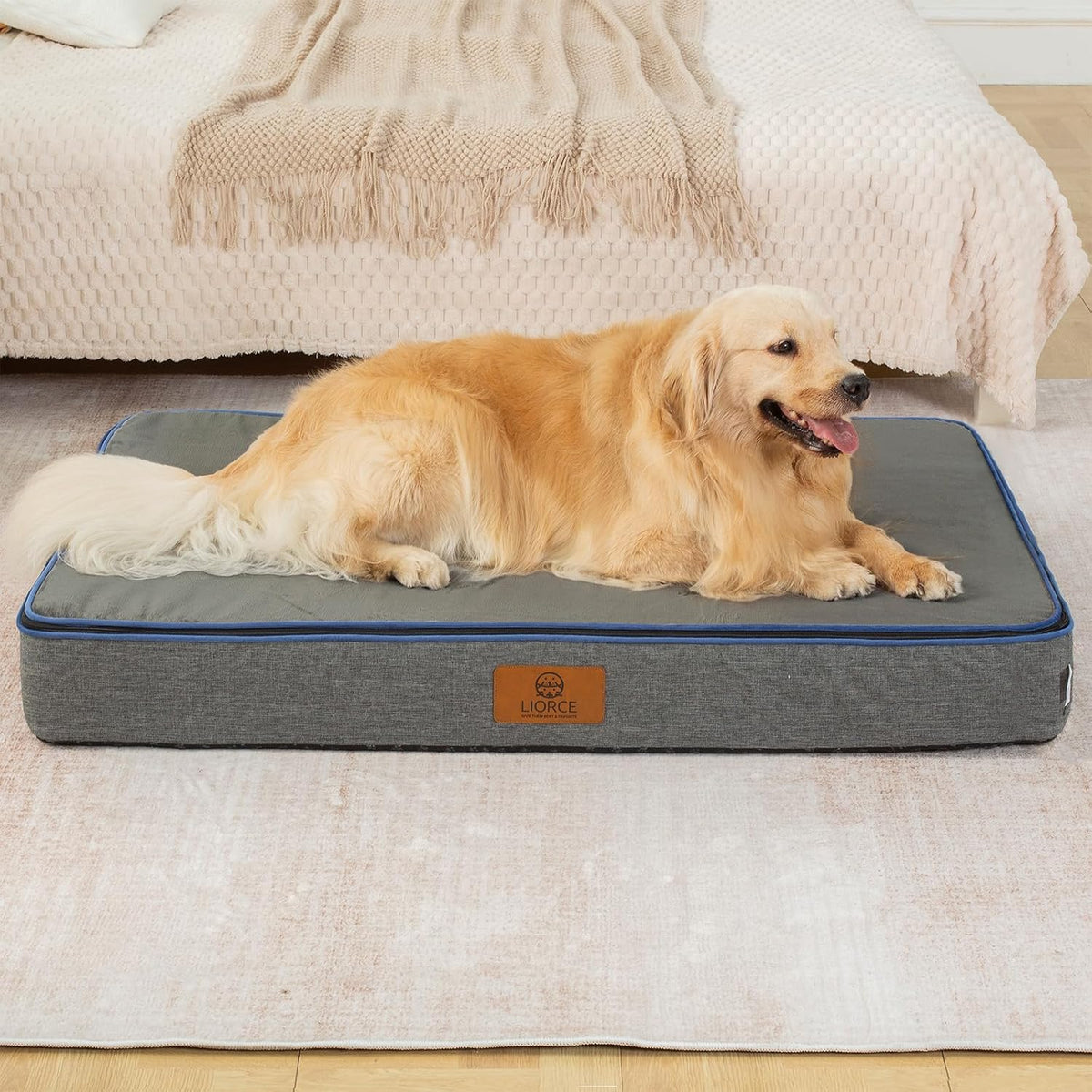 LIORCE Orthopedic Memory Foam XXL Dog Bed - 6" Thick Beds for Extra Large Sized Dog - Waterproof Removable Washable Cover & Wrap-Around Zipper - Ultimate Comfort & Easy Maintenance, Dary Grey