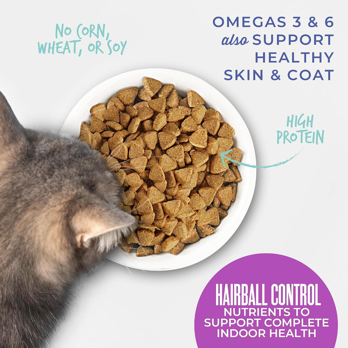 Tiki Cat Born Carnivore Dry Cat Food Hairball Control, Chicken, 6 lb Bag
