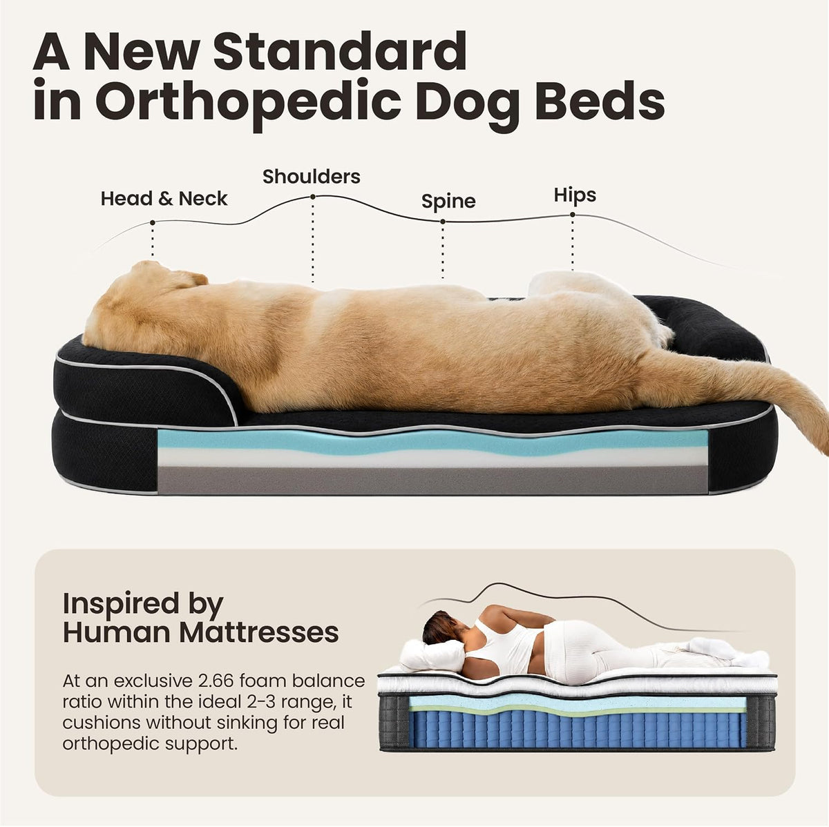 LE SURE RealOrtho™ XL 3-Layer Orthopedic Dog Beds Large Sized Dog,42" Black