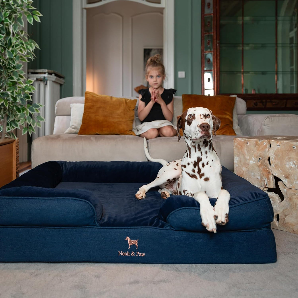NOAH & PAW Large Dog Bed, Orthopedic Memory Cooling Foam (2X Base) 45x35x11