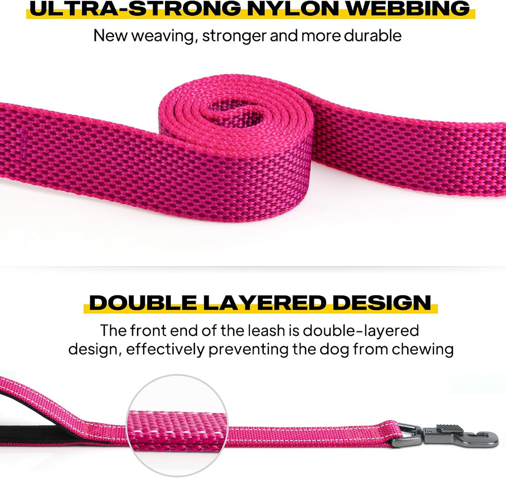 Fida Heavy Duty Dog Leash for Medium Large Dogs, 4 FT, Dual Padded Handles