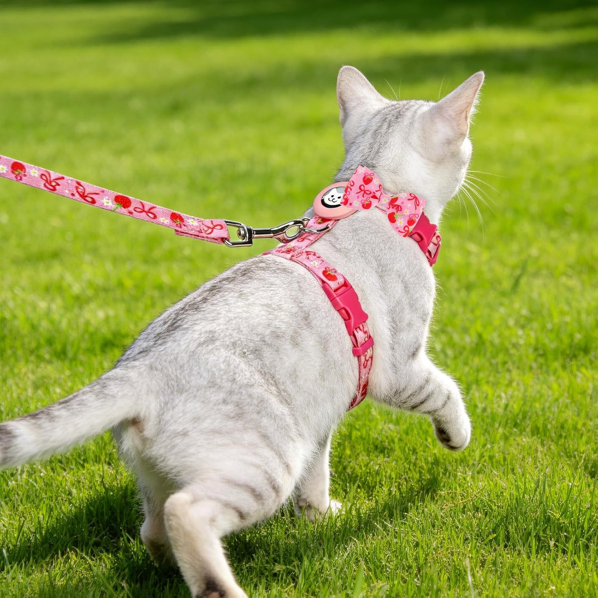 EXPAWLORER Cat Harness and Leash Set Escape Proof Vest with AirTag Holder