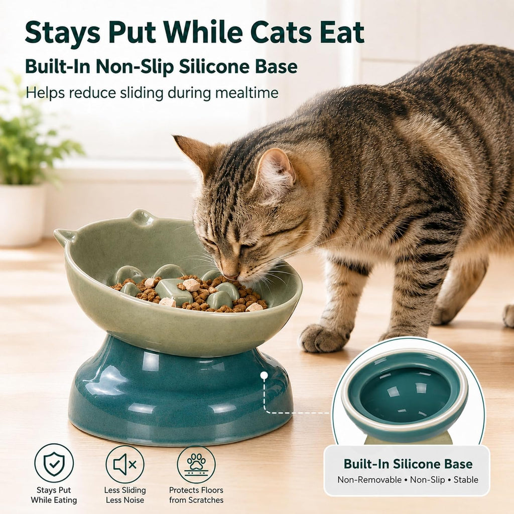 Ceramic Slow Feeder Cat Bowl, 15-Degree Tilted Non-Slip