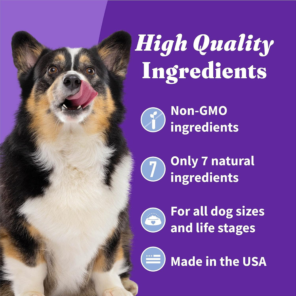 Halo Holistic Plant-Based Dog Treats, Oats & Blueberries, 8 oz