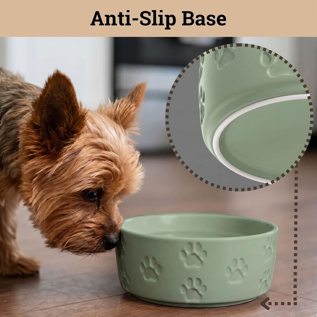 Ceramic Dog Bowl Set of 2 with Anti-Skid Base, 5.5"W x 2"H, 2 Cup Capacity