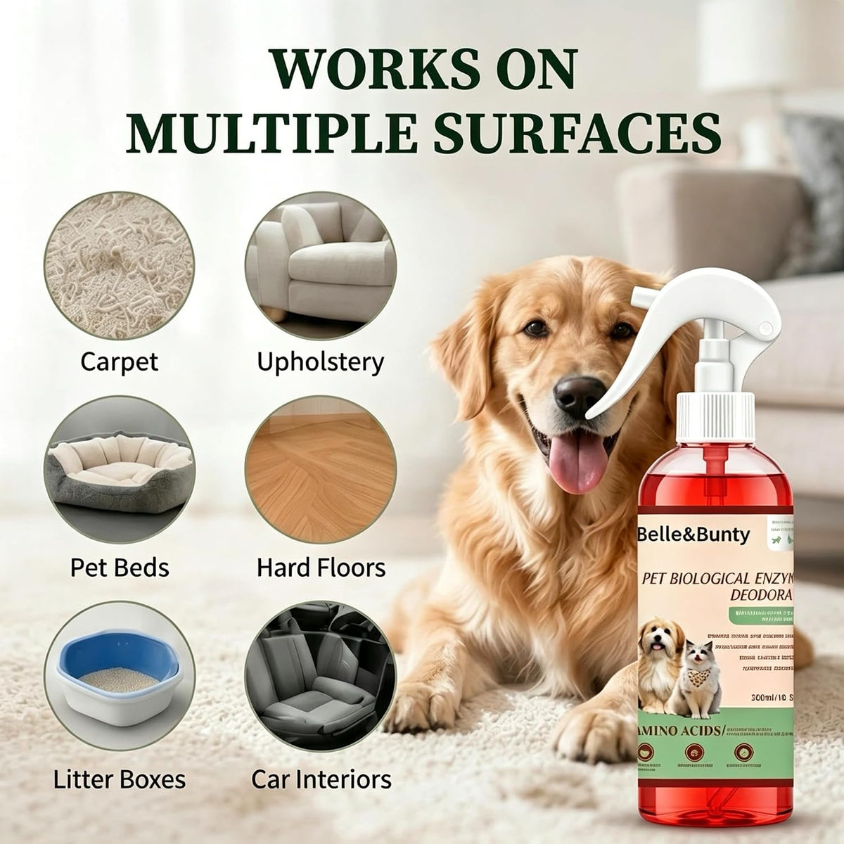 Belle & Bunty Pet Odor Eliminator Spray, Enzyme Cleaner for Dog Urine and Cat Urine, Pet Stain & Odor Remover for Carpet, Cat Litter Deodorizer, Dog Pee Cleaner for Home, Kennel and Furniture, 300ml