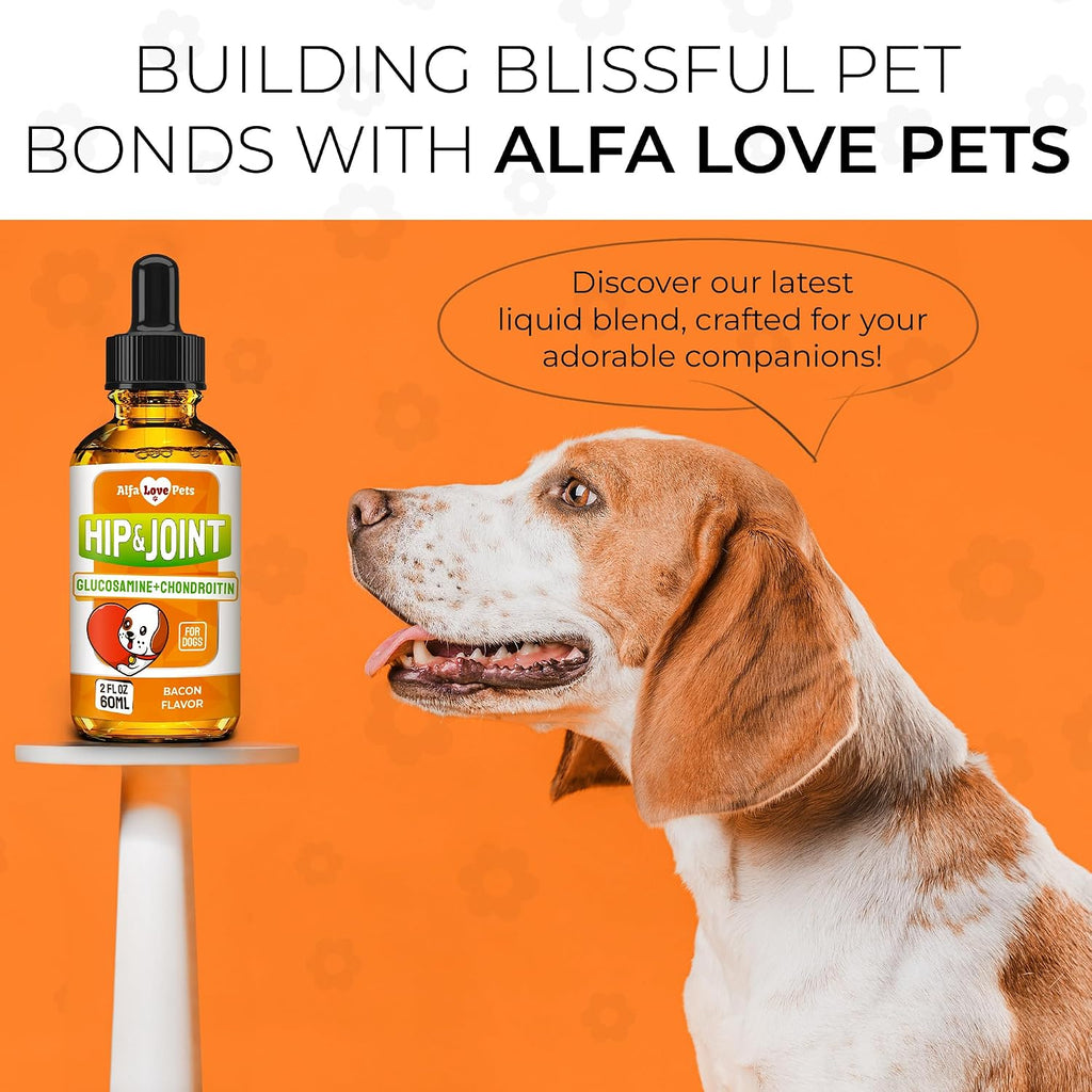 Glucosamine for Dogs + Chondroitinin in Liquid Form – Hip & Joint Supplement for Dogs to Care for Muscular System – Effective Dog Health Supplies with Natural Bacon Flavor – All Breeds Support – 2 oz