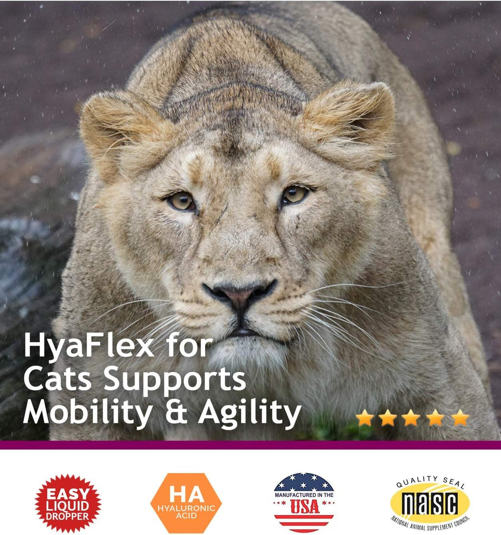 Hyalogic HyaFlex Hyaluronic Acid for Cats – Premium Cat Products for Joint, Skin, Eye, and Coat Maintenance – Natural Cat Joint Supplement (30ml)