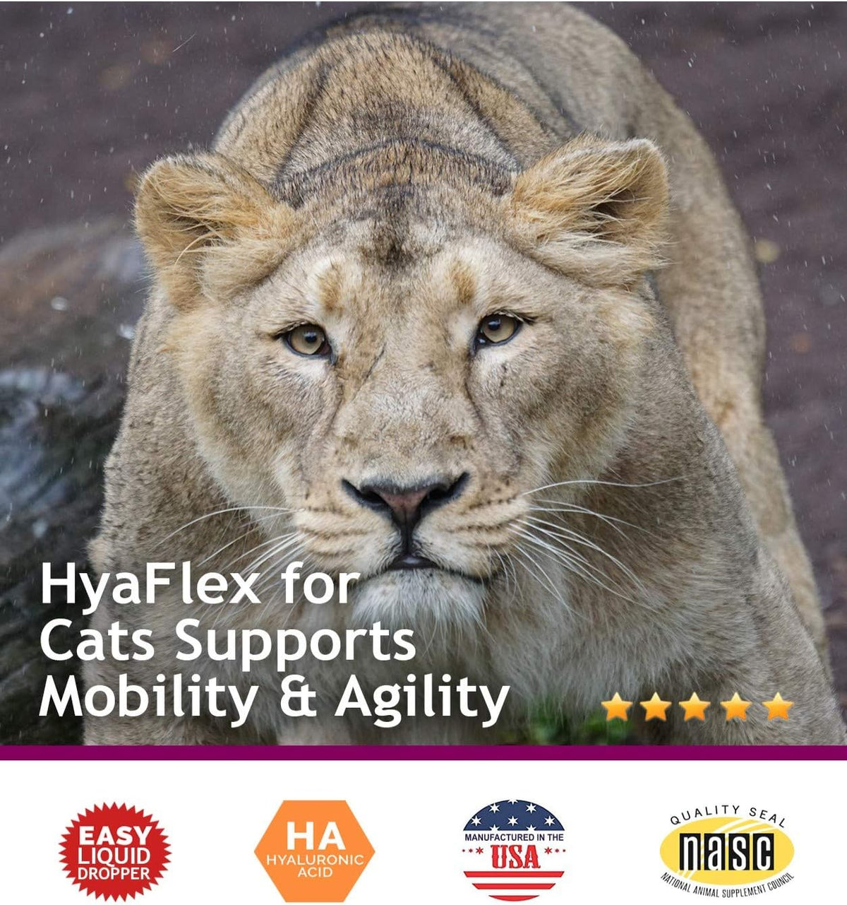 Hyalogic HyaFlex Hyaluronic Acid for Cats – Premium Cat Products for Joint, Skin, Eye, and Coat Maintenance – Natural Cat Joint Supplement (30ml)