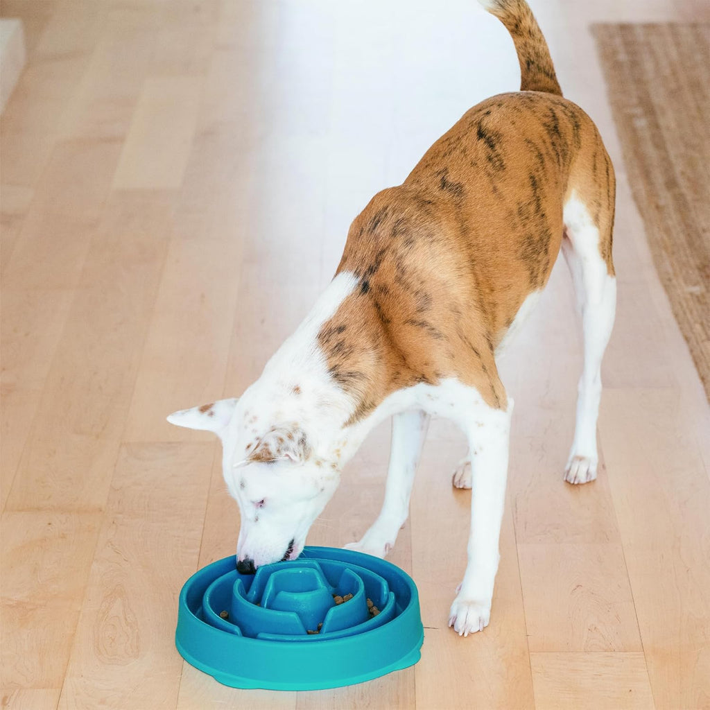 Outward Hound Fun Feeder Slo Bowl – Large 4‑Cup Capacity, Slow Feeding, Medium to Large Dogs, Non‑Slip, Turquoise, Drop Pattern | Slows Fast Eaters, Can Aid Digestion, Holds 4 Cups Dry or Wet Food, Non-Slip Base, Easy Clean, No BPA, Medium to Large Dogs 