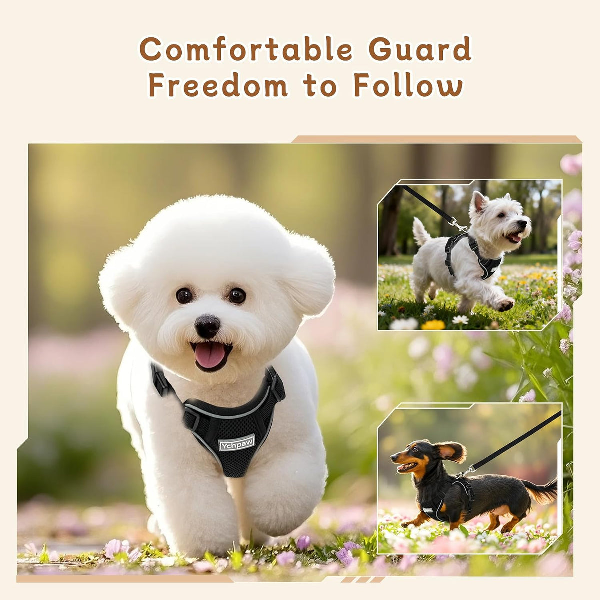 Small Dog Harness and Leash Set, Adjustable Small Sized Pet Vest