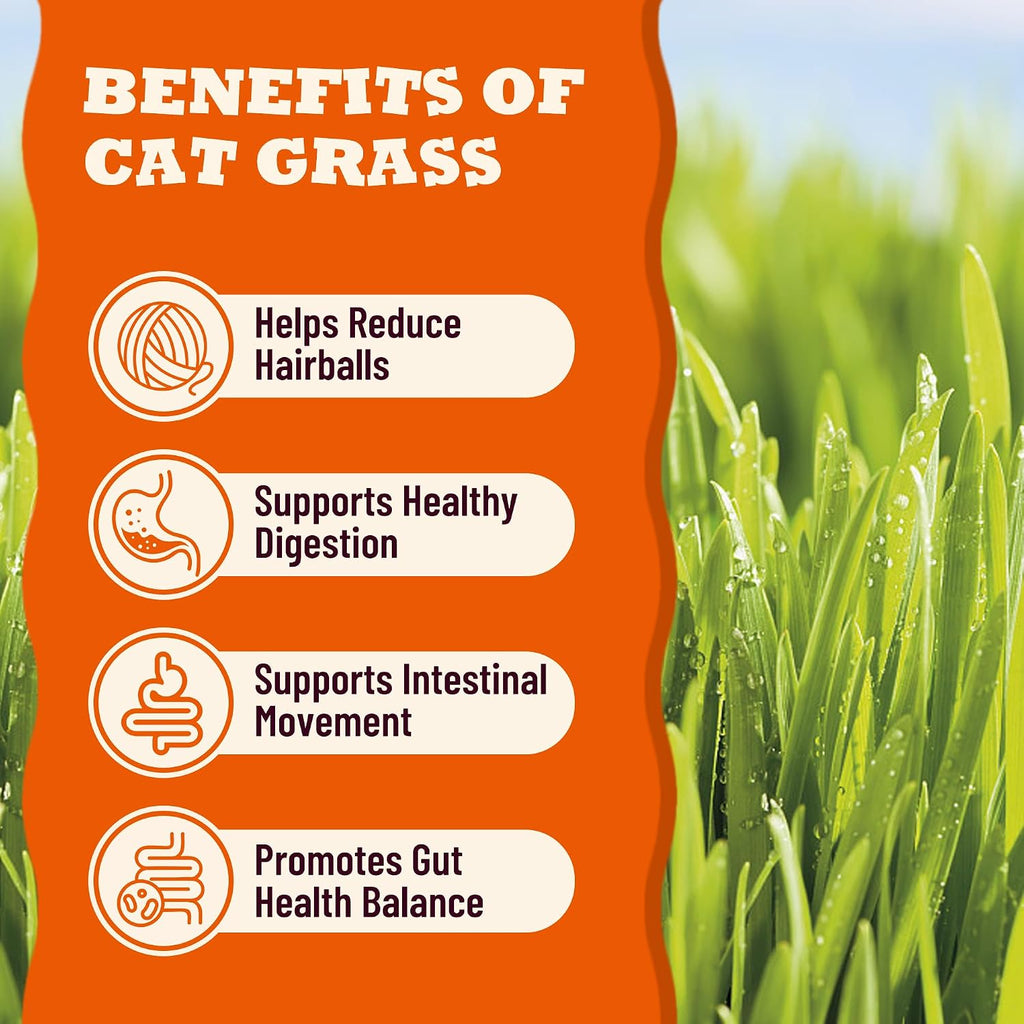 13.05oz Cat Grass Treats for Indoor Cats with Taurine for Cats