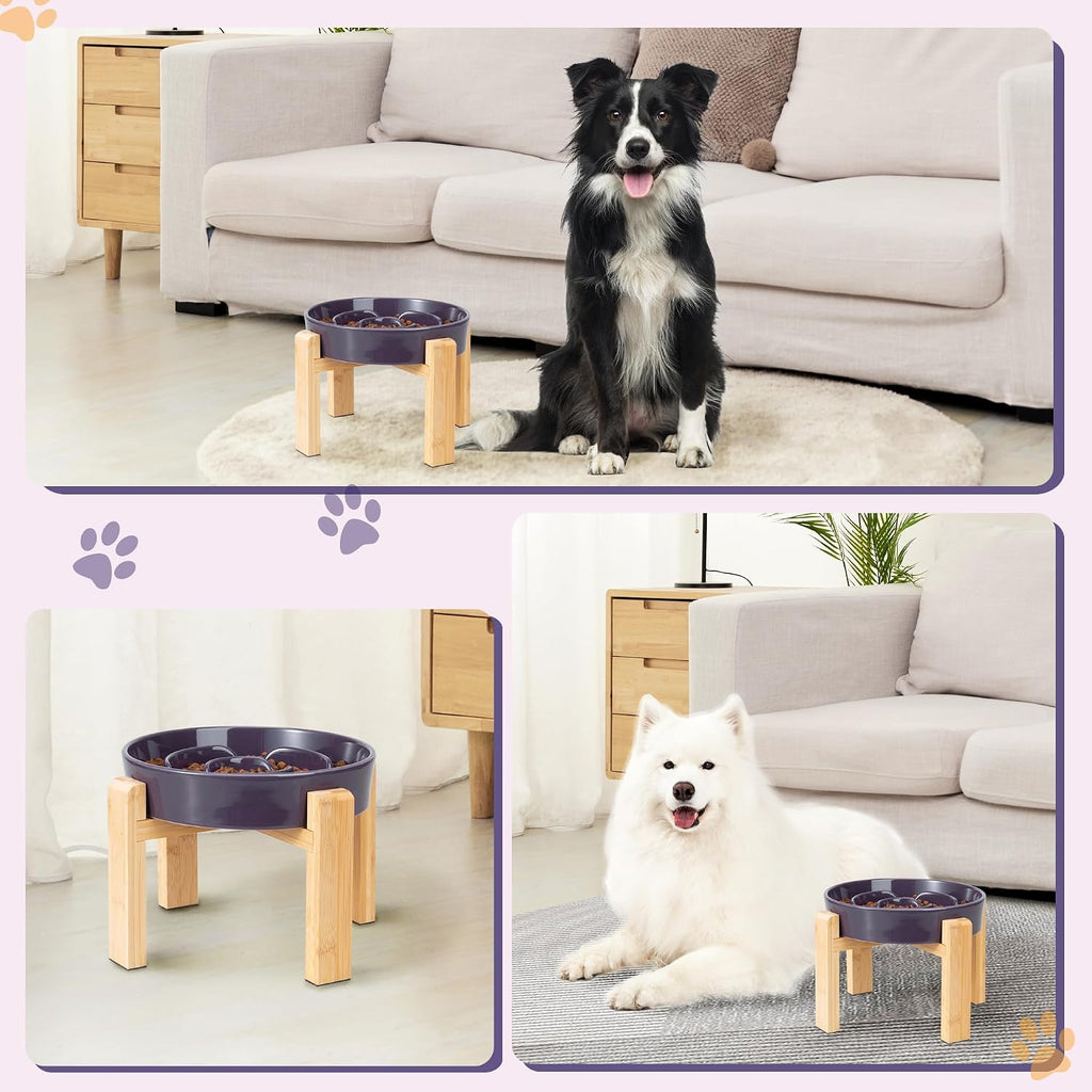 Elevated Slow Feeder Dog Bowl, 8.8" Ceramic Maze Dog Bowl with Stand