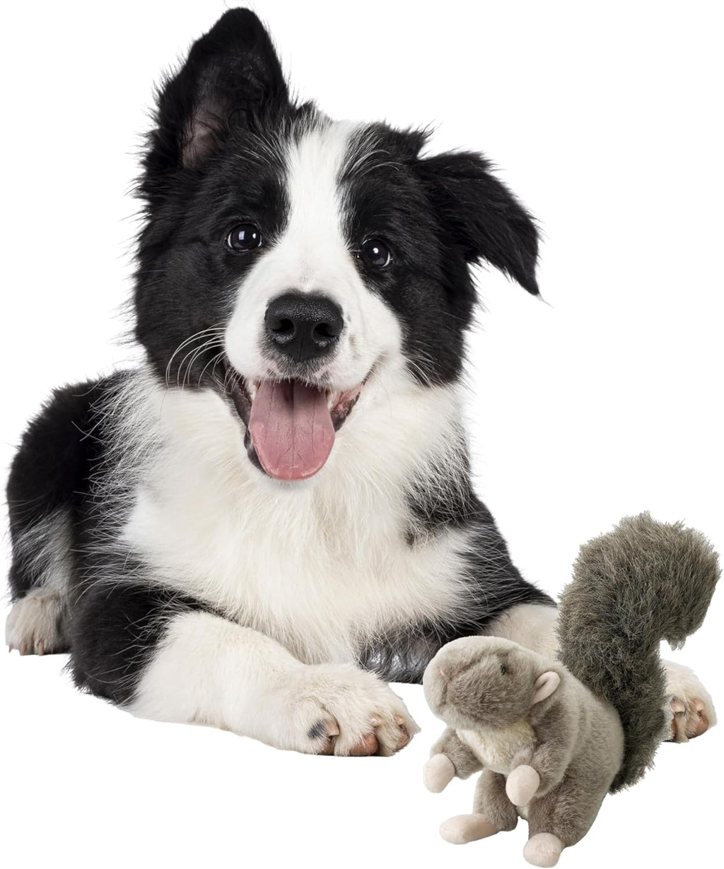 SPOT Woodland Collection Squirrel Dog Toy with Squeaker, Plush Grunting Tug Toy, Interactive Play for All Dog Breeds, 10"