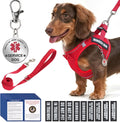 Service Dog Vest Harness for Small Breed Dogs with ID Tag 50 ADA Cards, 10 PCS Removable Patches, Emotional Support Animal Pet Harness, Lightweight Puppy Service Harnesses Set with Leash