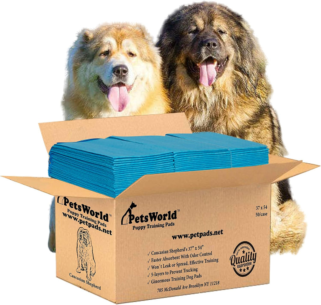 Pee Pads for Dogs 37x54 Fresh Scented | Dog Training Pads 50 Count | Fresh scented, 37x54 in, XXXL, 50 pack, 5-layer leak-proof, waterproof backing, adhesive tabs, giant breeds
