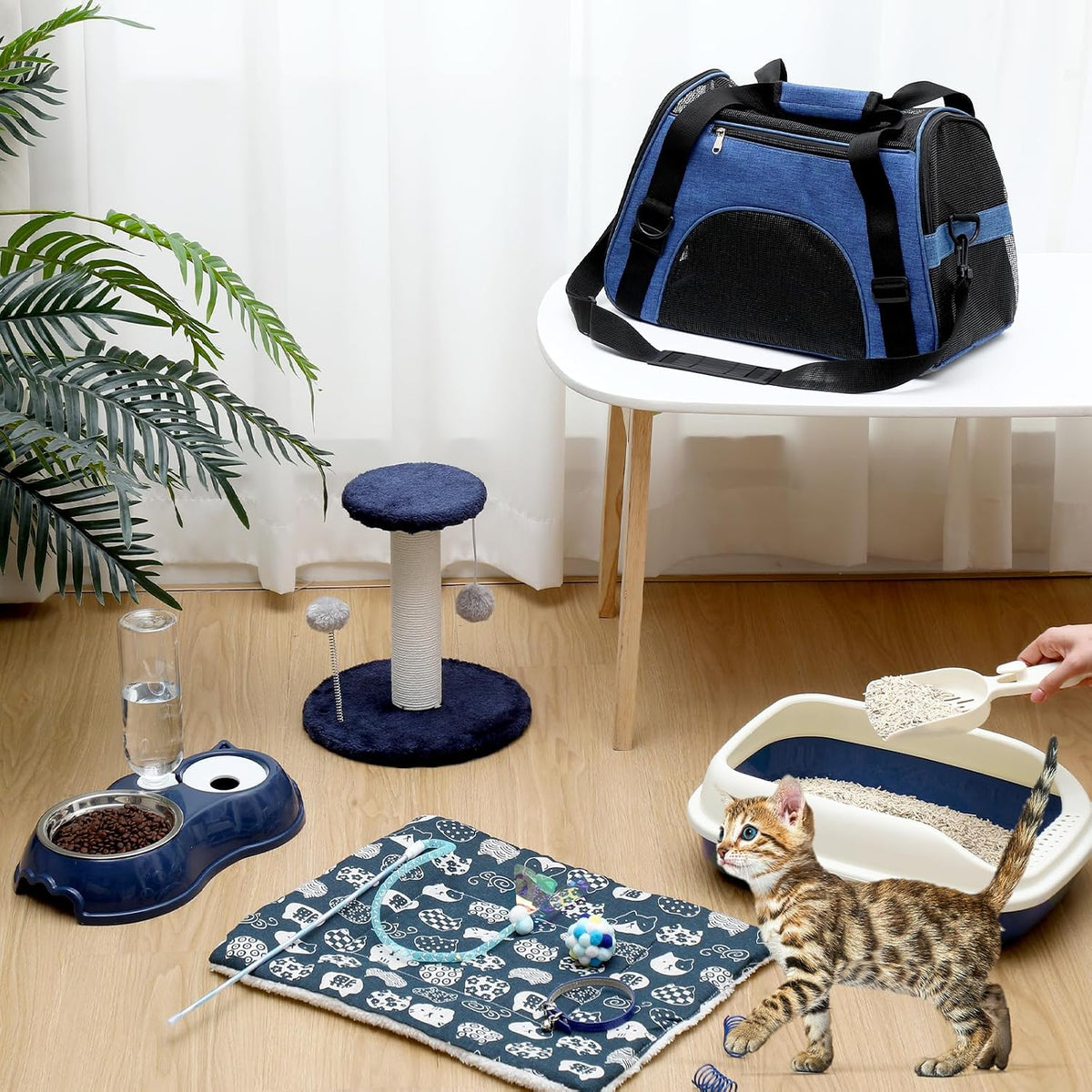 Eccliy 10 Pcs Kitten Starter Kit for Indoor, Classic, Medium, Dark Blue