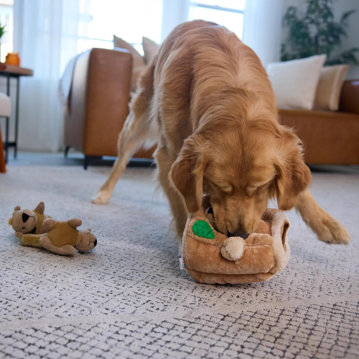 Outward Hound Hide-A-Squirrel Plush Squeaky Dog Toy, Large, 10.5" x 7.5" | Hide-n-Seek Puzzle, 3 Removable Squirrels, Fetch Play, Interactive Enrichment, Boredom Buster, Light Chewers, Dogs & Puppies