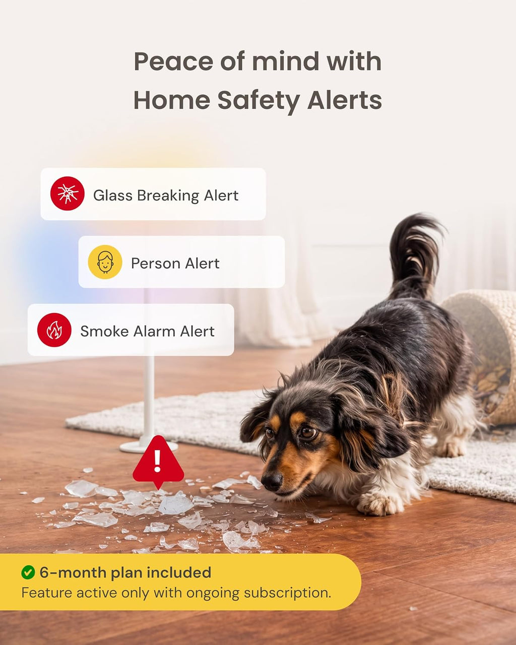 Furbo 360° Dog Camera [6-Month Subscription Included]