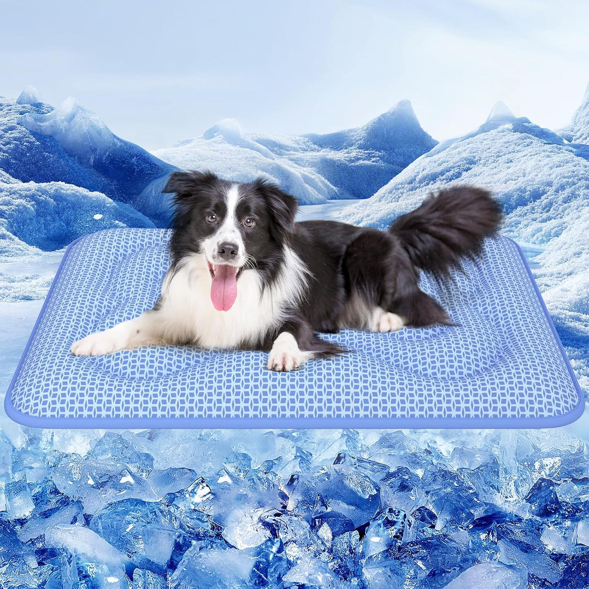 Rywell Thickened Cooling Mat for Dogs, 44 x 32In, Suitable for All Seasons