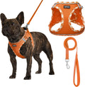 AMTOR Small Dog Harness with Leash Set, No Escape Easy Walk Puppy Harnesses for Training Walking, Step-in Reflective Soft Dogs Vest for XS S Medium Extra-Small Large Sized Dog(Orange/White,XXS)
