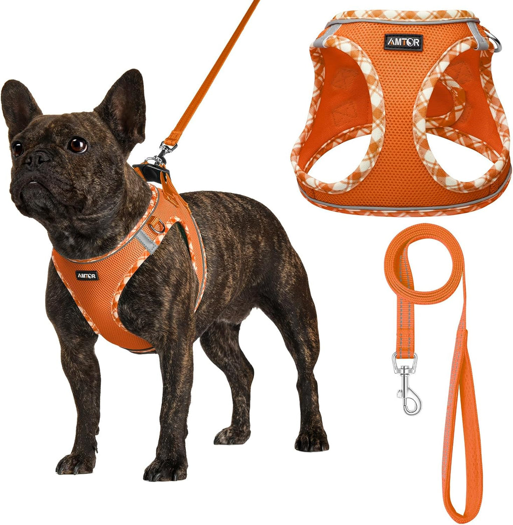 AMTOR Small Dog Harness with Leash Set, No Escape Easy Walk Puppy Harnesses for Training Walking, Step-in Reflective Soft Dogs Vest for XS S Medium Extra-Small Large Sized Dog(Orange/White,XS)