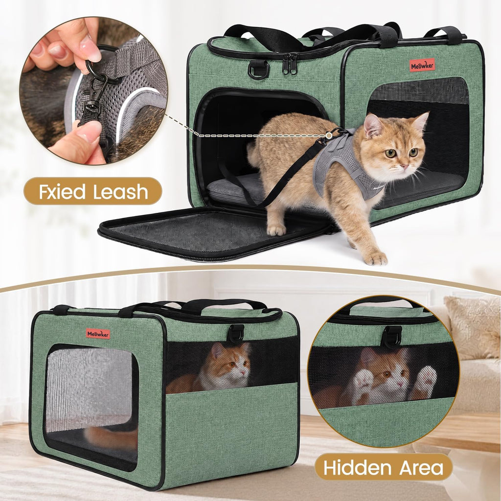 Soft-Sided Cat Dog Pet Carrier Airline Approved, Medium Green