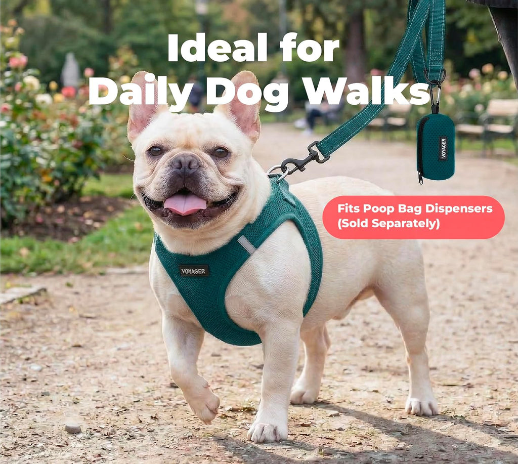 Best Pet Supplies Voyager Nylon Dog Leash - Blue, Small