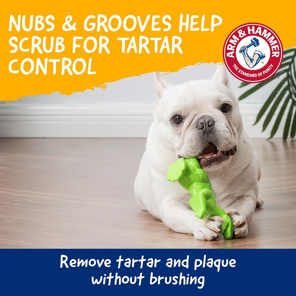 Arm & Hammer Nubbies T-Rex Dog Dental Chew Toy, Mint Flavor, 24-Pack | Nylon construction, baking soda infused, reduces plaque and tartar without brushing, moderate chewers