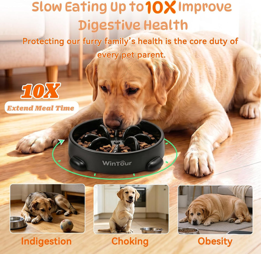 WinTour Slow Feeder Dog Bowls for Small Medium Pets, Round PP Dish, 1 Pack