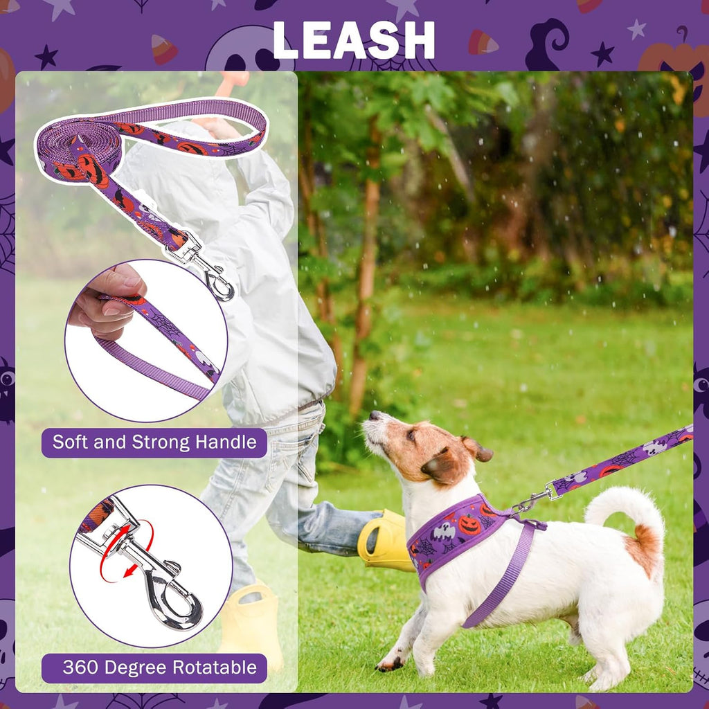 SCENEREAL Halloween Small Dog Harness and Leash Set