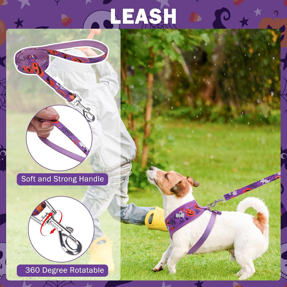 SCENEREAL Halloween Small Dog Harness and Leash Set