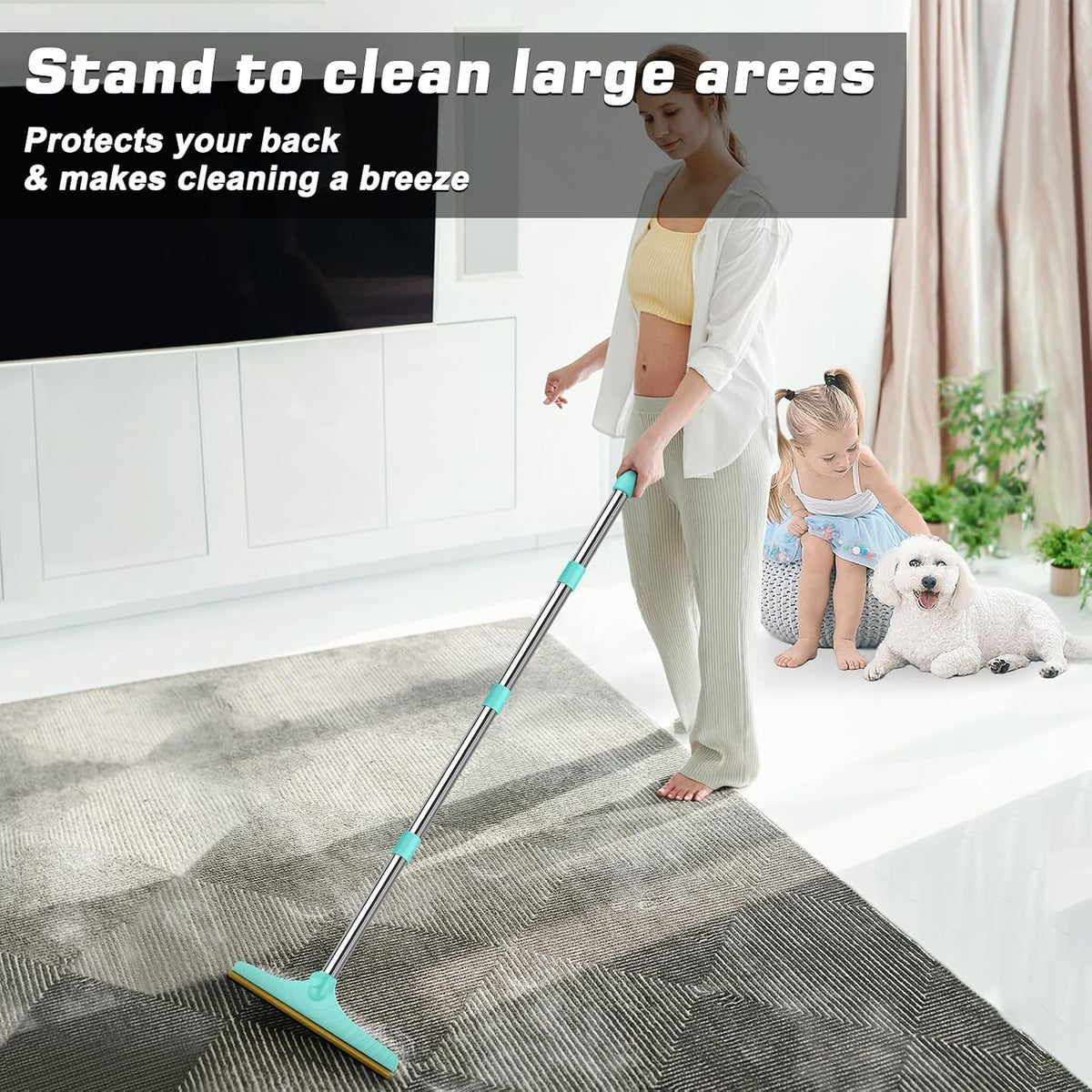 B-Land Carpet Rake for Pet Hair Removal, Reusable Carpet Scraper for Rug