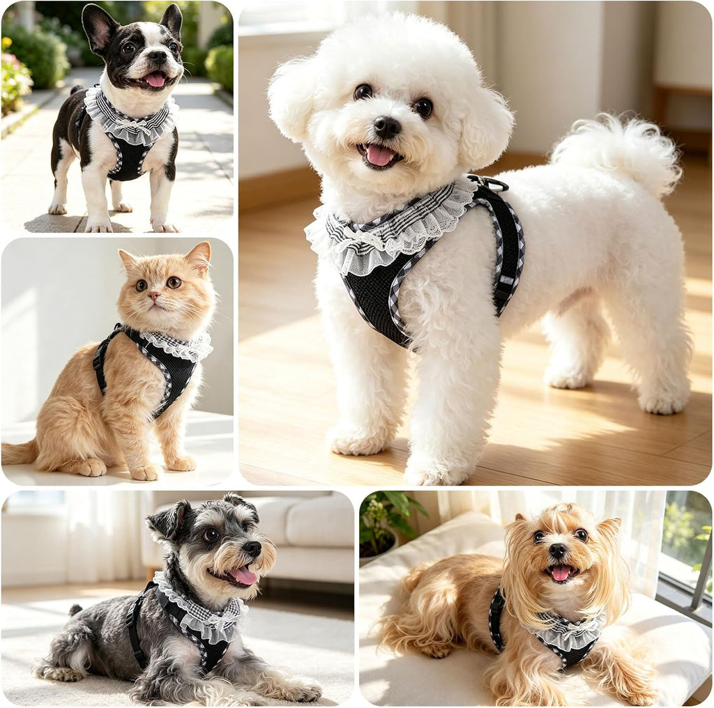 ABRRLO Cute Puppy Harness and Leash Set for Small Dogs Cats Boys,Black M