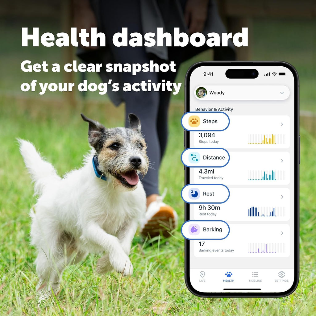 PetSafe GPS Dog Tracker + 3 Month Subscription, Live GPS Tracking
