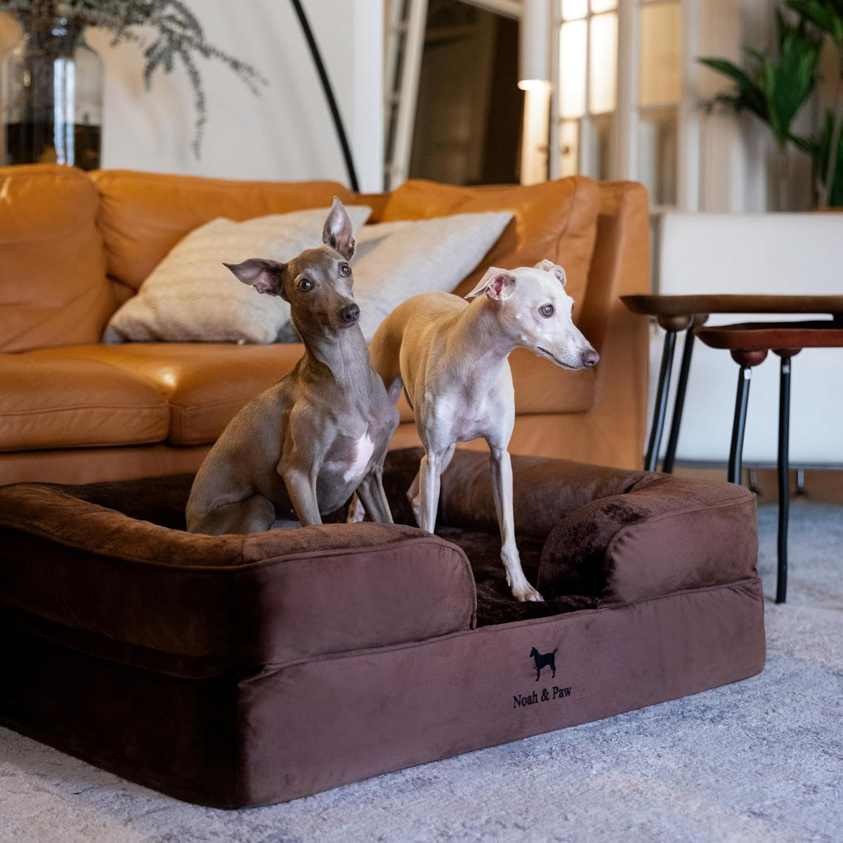 NOAH & PAW Dog Bed, Orthopedic Memory Cooling Foam (2X Base) 35x25x11in