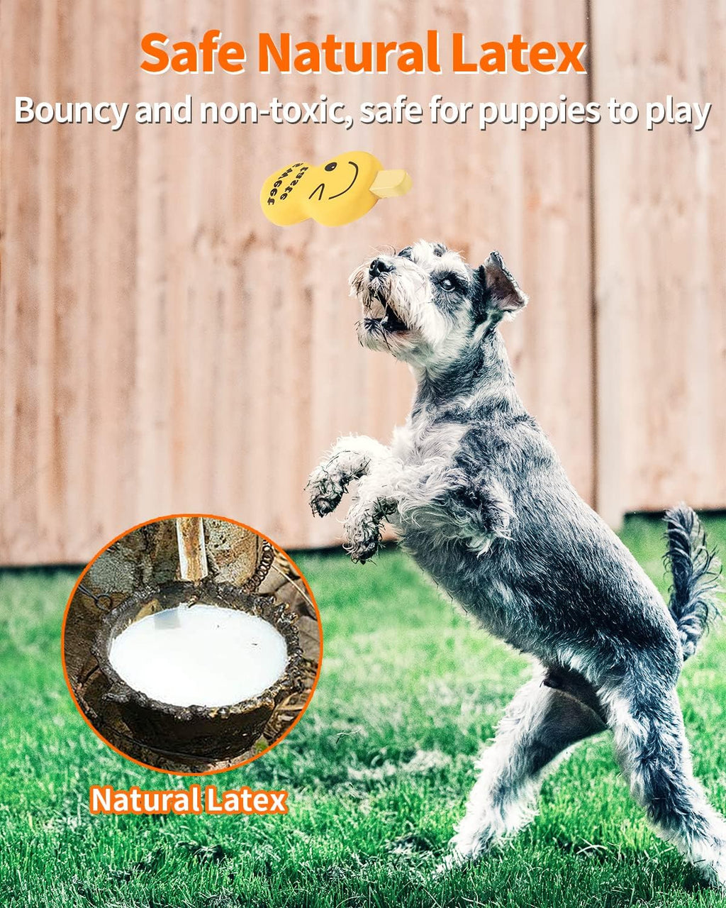 SCHITEC Squeaky Puppy Toys, 4 Pack Latex Toy for Small Dogs Puppies