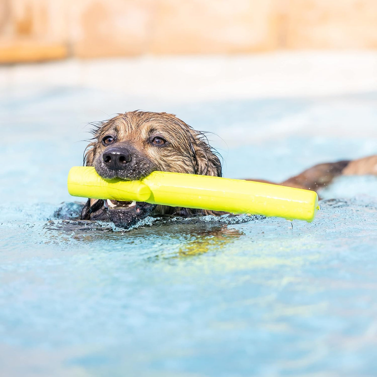 Hyper Pet Fetching Dog Toys - Throwing Stick Dog Toy Made With EVA Foam - Easy To Clean & Floats On Water | Easy to clean design for pool or beach days, buoyant and lightweight for all breeds, keeps pups splashing and retrieving