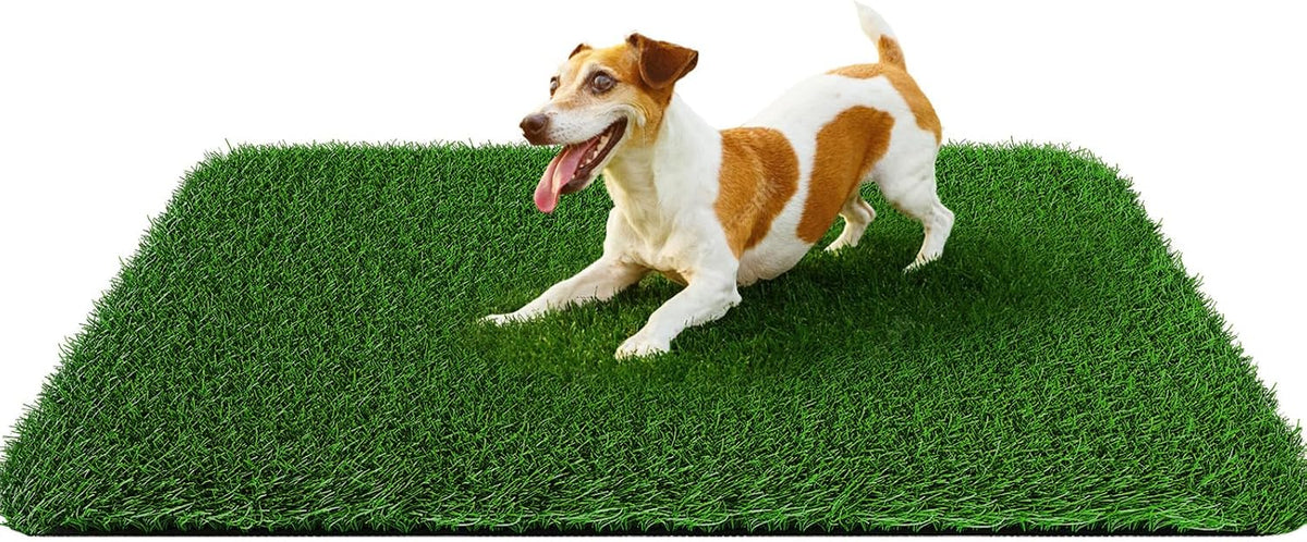 Fake Grass Pad for Dogs Potty Training Artificial Turf, 48x32in | Pet-Friendly, Fast-Drain, Easy to Clean, Indoor Outdoor Balcony Apartmen Patio Use