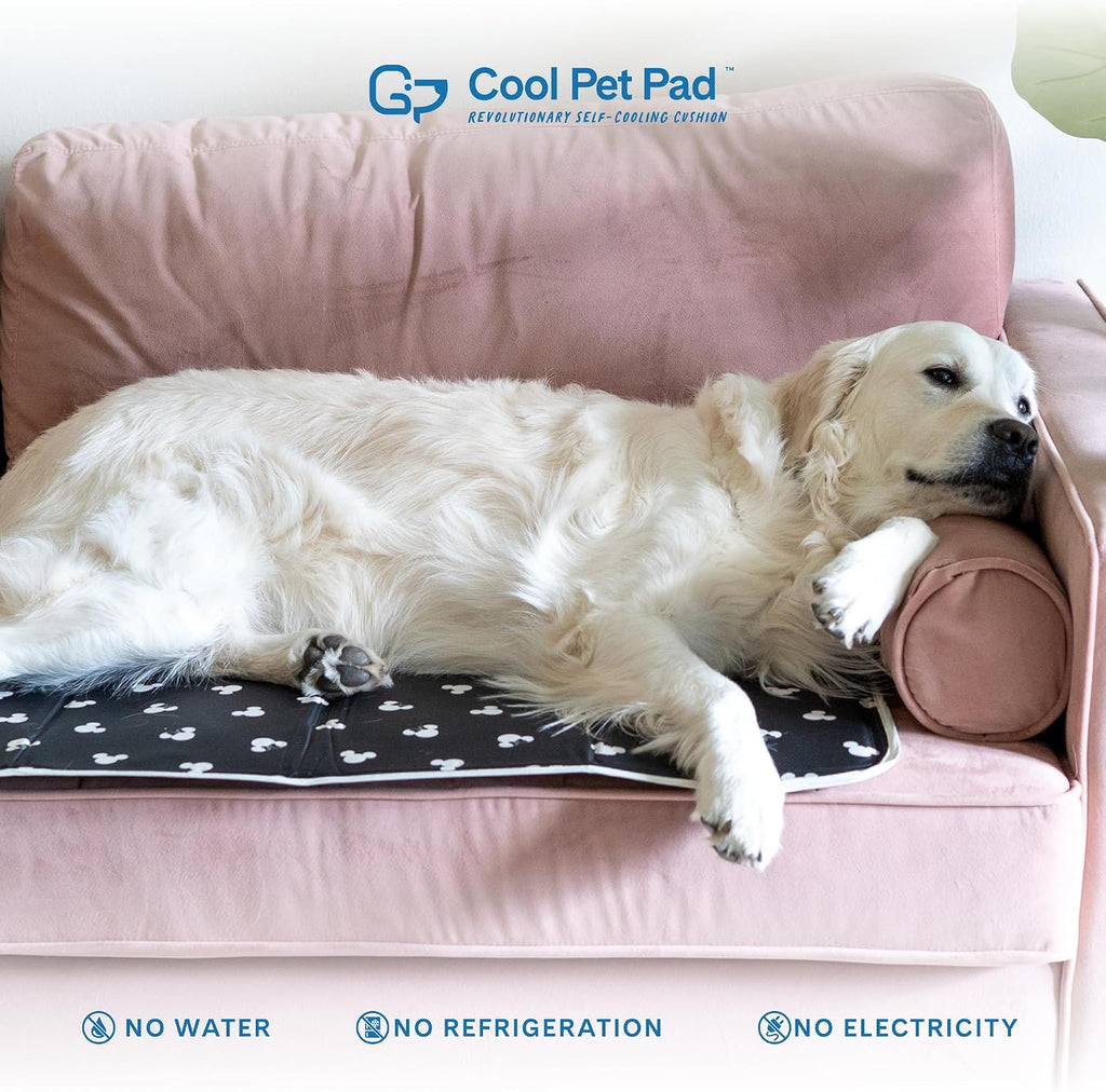 The Green Pet Shop Cool Pet Pad - Small, Disney’s Mickey & Minnie Mouse - Self-Cooling, Pressure Activated Mat for Dogs & Cats from 9-20 lbs - Non-Toxic Gel, No Water Needed