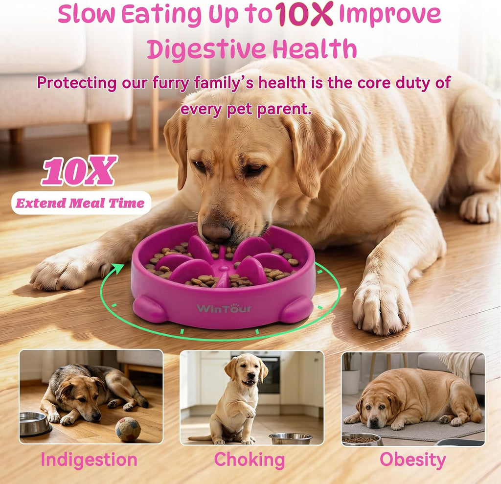 WinTour Slow Feeder Dog Bowls for Small Medium Pets, Round PP Dish, 1 Pack