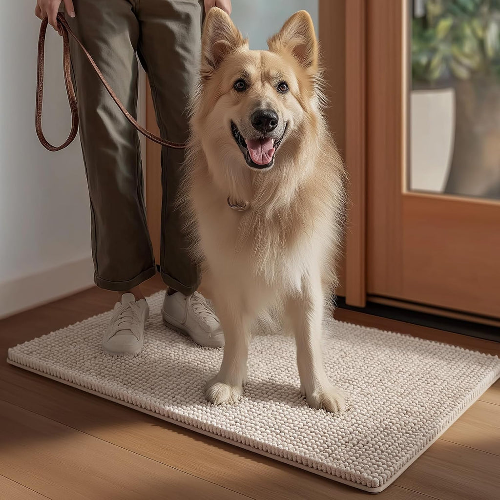 EHEYCIGA Super Absorbent Dog Door Mat for Muddy Paws 24x16 in. Entryway Rug