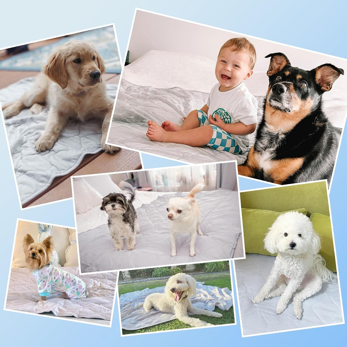 Rywell Cooling Blanket for Dogs, Large Dog Cooling Mat Q-Max>0.5, Durable&Versatile with Cooling&Soft Surfaces for All Seasons,Waterproof Protect Sofa Bed,40 * 60IN Washable Dog Blanket