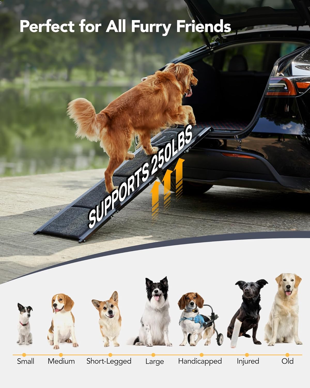 PetThem Dog Ramp for Car, 71" L × 19.7" W, Extra-Long Extra-Wide Foldable
