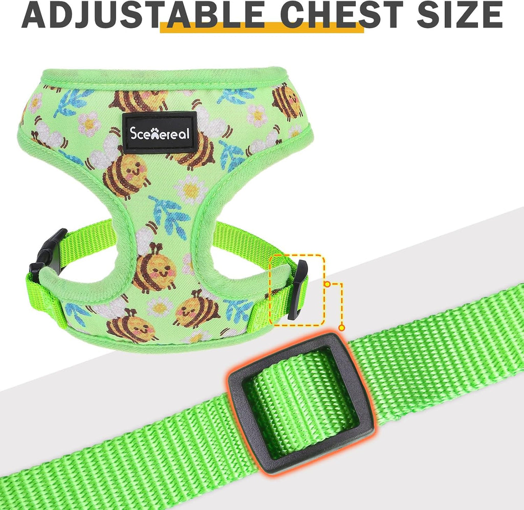 SCENEREAL Small Dog Harness and Leash Set, Bee, M